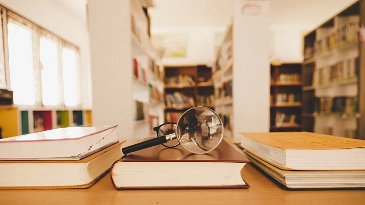 לימודי משפטים | רשת 13