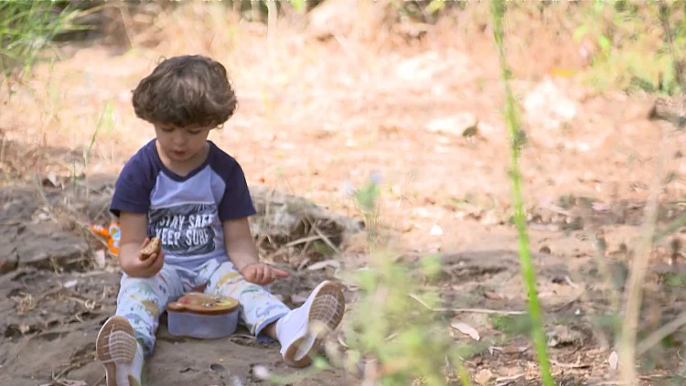 לומדים בטבע: טרנד "גני יער" תופס תאוצה בישראל