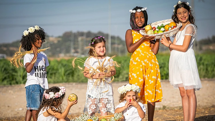 ארוחות, טיולים וטקסים בקיבוצים: חוגגים שבועות