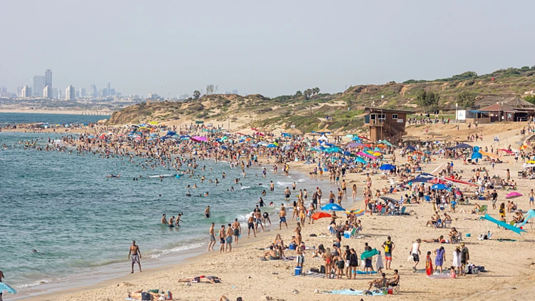חוף פלמחים