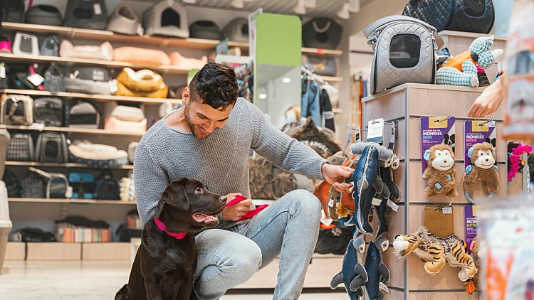 חנות חיות און ליין – מה אפשר לקנות בה? | רשת 13