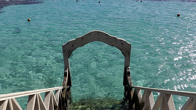 בתוך יממה: אישה נוספת נהרגה במצרים מתקיפת כריש