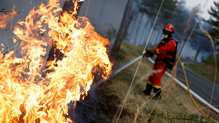 גל חום חריג בספרד, פורטוגל וצרפת: אלפים פונו מבתיהם, 300 נהרגו