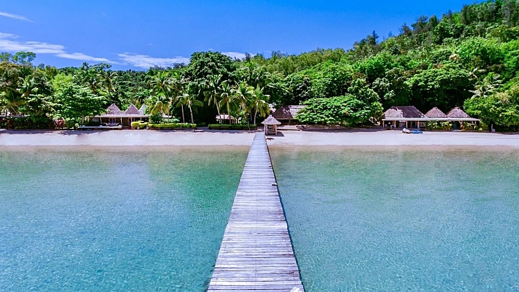 אי הצבים בפיג'י