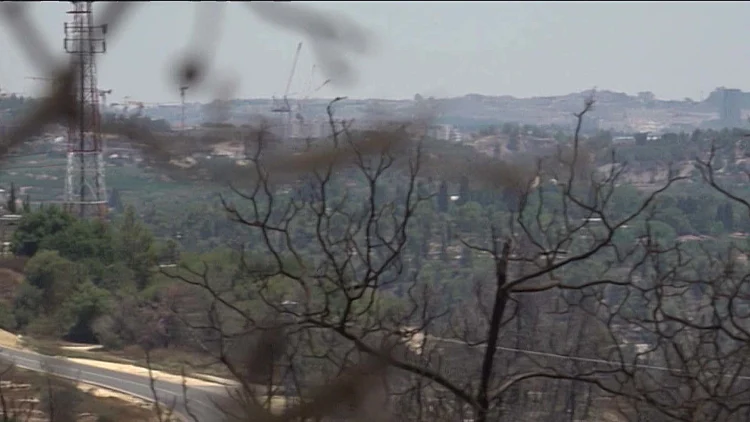 ישראל מתחממת: שריפות, מקורות מים שנעלמים ומחלות
