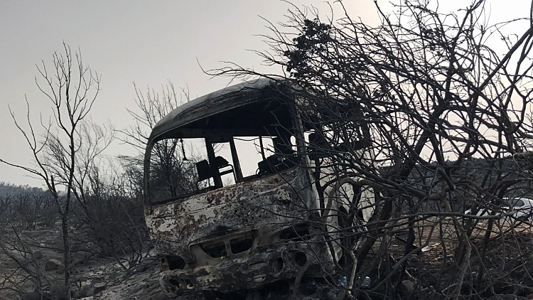 אלג'יריה: לפחות 38 הרוגים בשריפות ענק בצפון המדינה