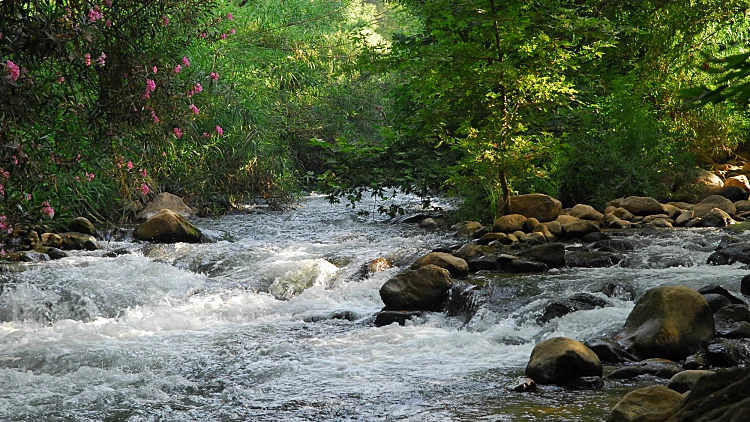 Chazbani Eyal Margolin