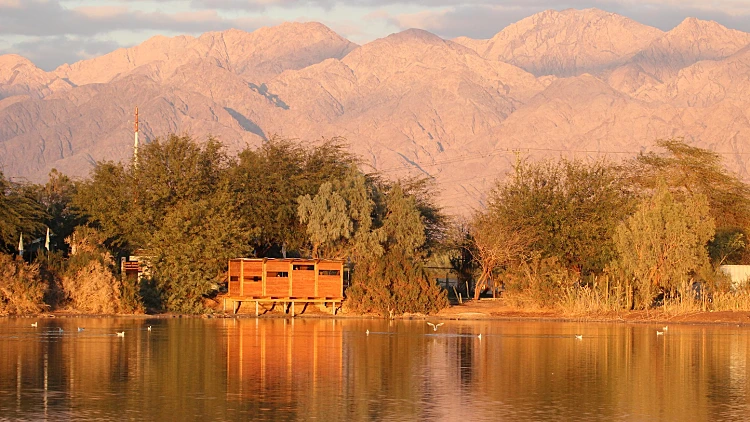 פארק הצפרות - צילם נועם ויס