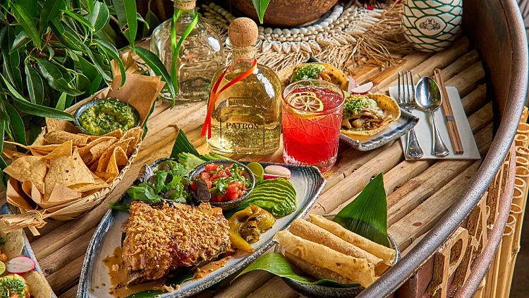 Ginsburg Akkerman 8.8.22 56