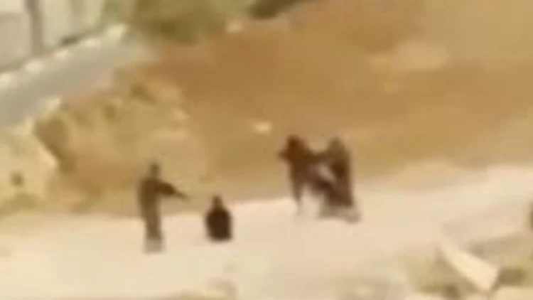 תיעוד: לוחמי "נצח יהודה" הכו פלסטינים ליד רמאללה, מצ"ח חוקרת