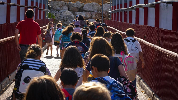 סערת המורה שהוזמן לבירור - ציון נכשל בחשיבה ביקורתית | דעה