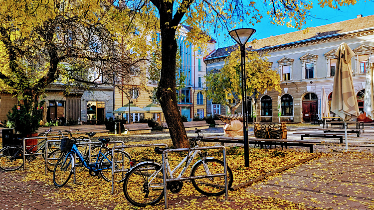 דרבצן - צילום עינת הרשקו
