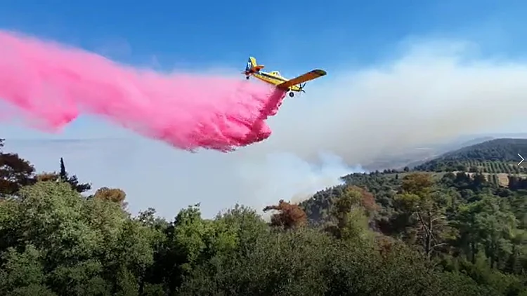 שריפות בגליל וליד י-ם: עשרות צוותים הוזנקו להילחם באש