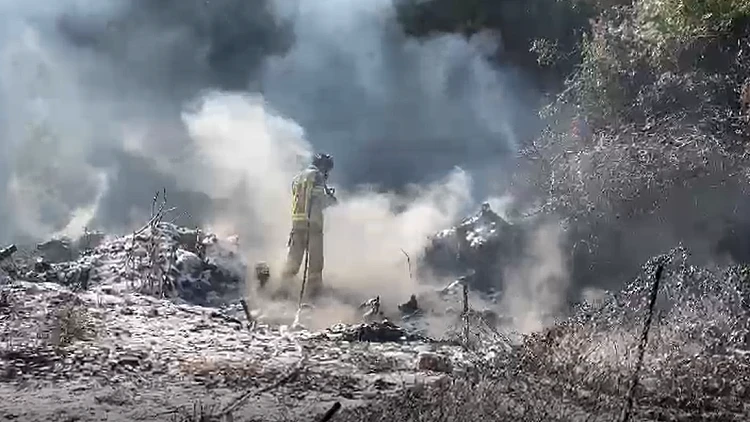 שריפה ביער סמוך לנשר, מטוסי כיבוי הוזנקו