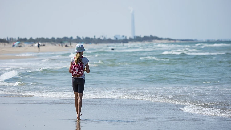 סיור גיטרנים. צילום: רינת שוורץ