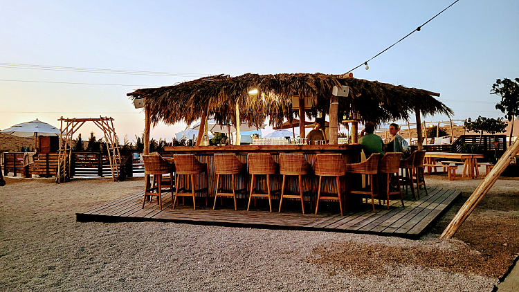 סלינה דזרט גרדן. צילום: עינת הרשק