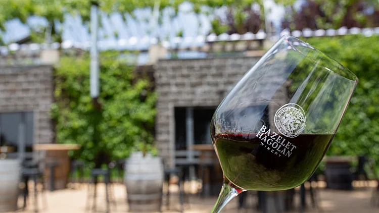 יקב בזלת הגולן. צילום: בועז אשכול 2