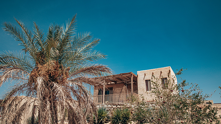 סלינה ערבה. צילום: Magdalena Mariabodzioch