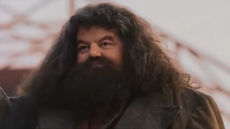 נפרדים מהאגריד: כוכבי "הארי פוטר" מוקירים את רובי קולטריין