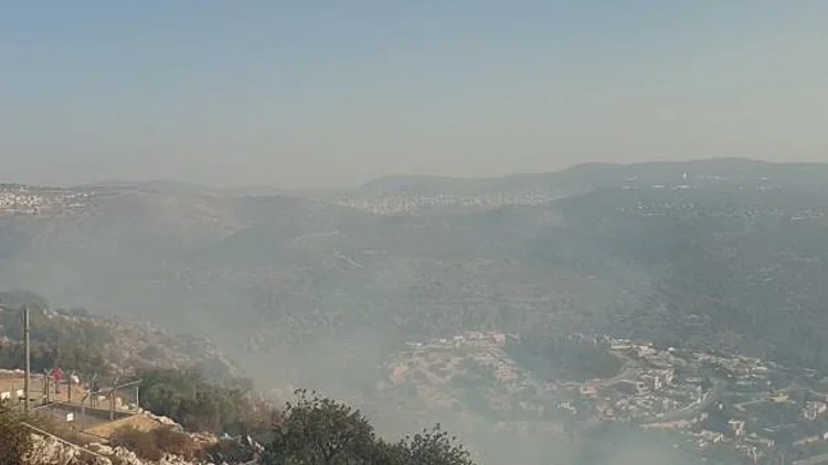 שריפת חורש בגליל