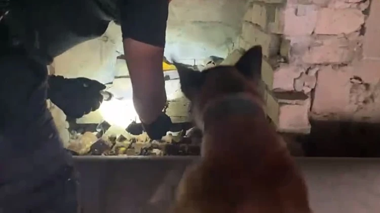 מטען חבלה מוכן להפעלה אותר בחצר בניין ברחובות | תיעוד