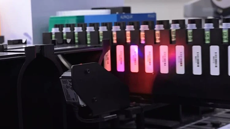 בדיקה גנטית