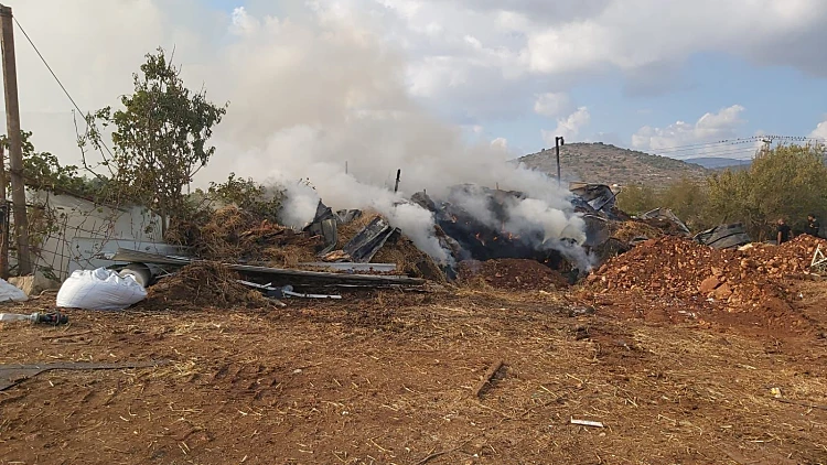 שריפה ברפת בסח'נין