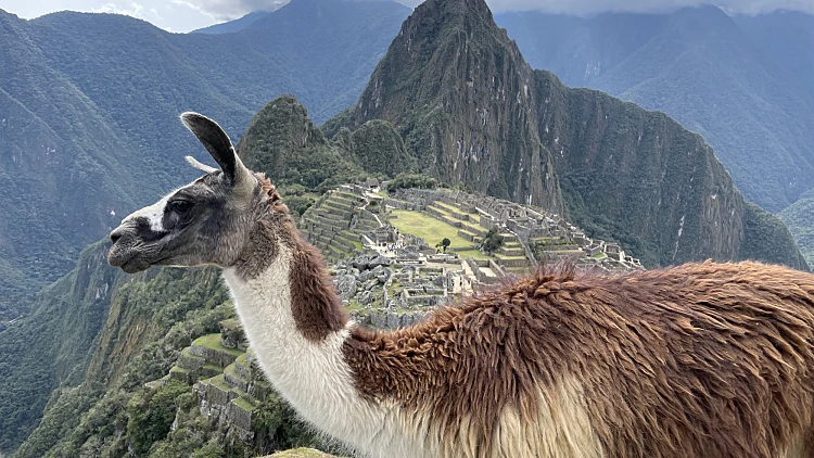 מאצ'ו פיצ'ו, פרו. צילום: שירי טוקר