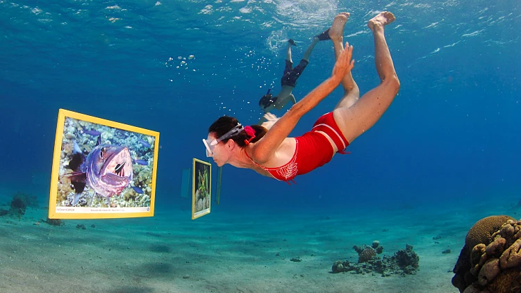 פסטיבל צלילה בים האדום. צילום: נועם קורלטר