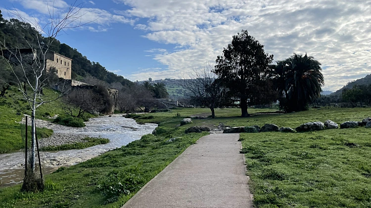 טחנת הנזירים ציפורי. אבירמה האריס. צילום עדי רונן