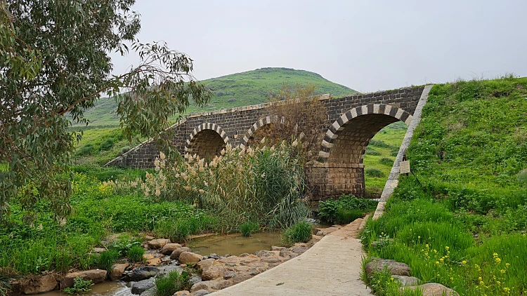 קרדיט תמונות: check in/out