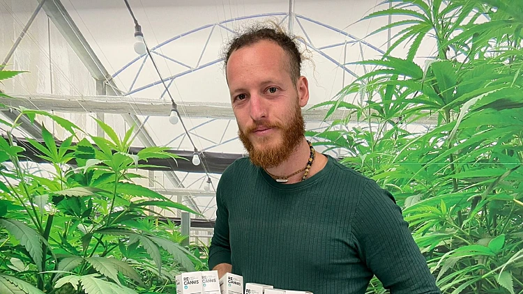 קנאביס רפואי של תיקון עולם