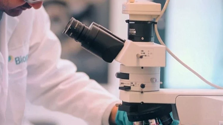 פריצת דרך בחקר האלצהיימר: תרופה חדשה מאטה את ההידרדרות