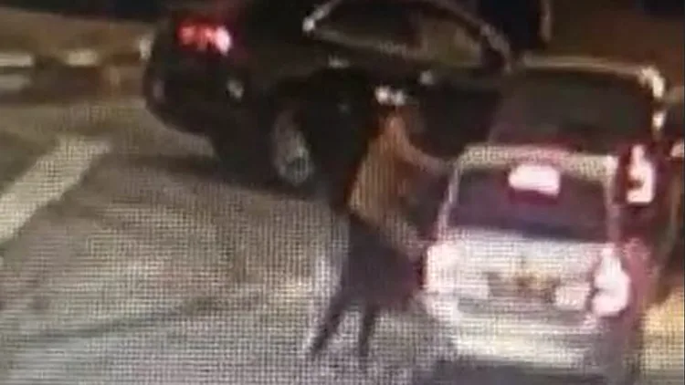 צעיר שנחשד ברצח בני שלמה ושוחרר יואשם שדקר נהג • תיעוד
