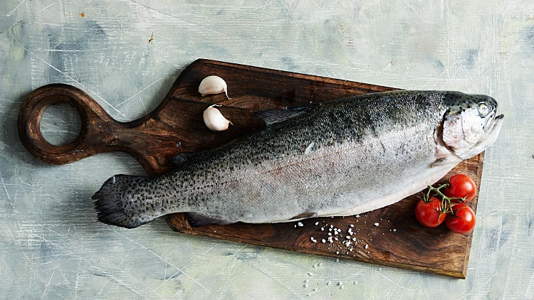 Whatsapp Image 2022 11 22 At 1