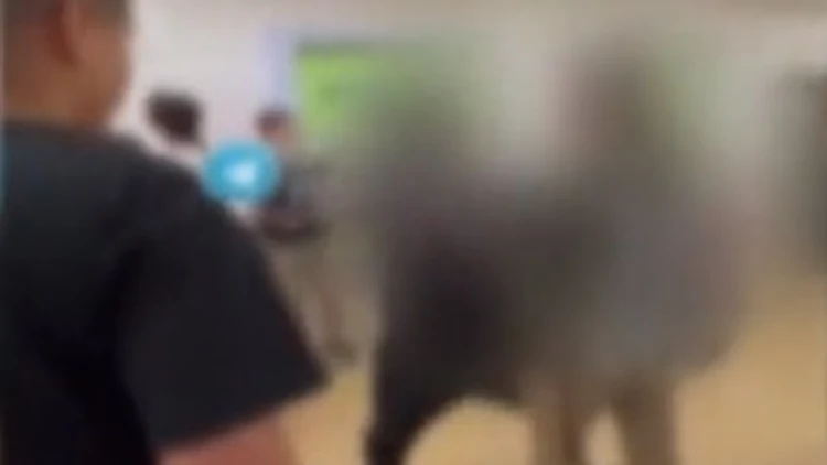 גל האלימות בבתיה"ס: תלמיד כיתה ח' תקף באכזריות את חברו לשכבה