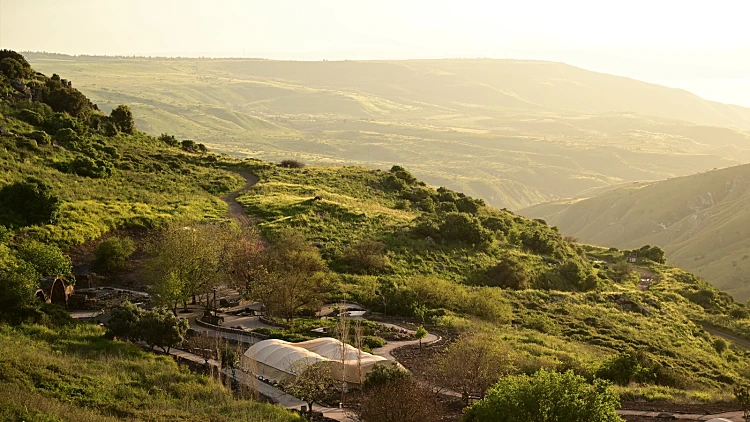 התחזית: חמים ונוח יחסית לעונה, לקראת ירידה בטמפרטורות בסופ"ש
