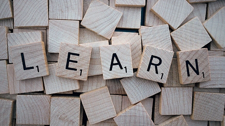 Pexels Pixabay 247819