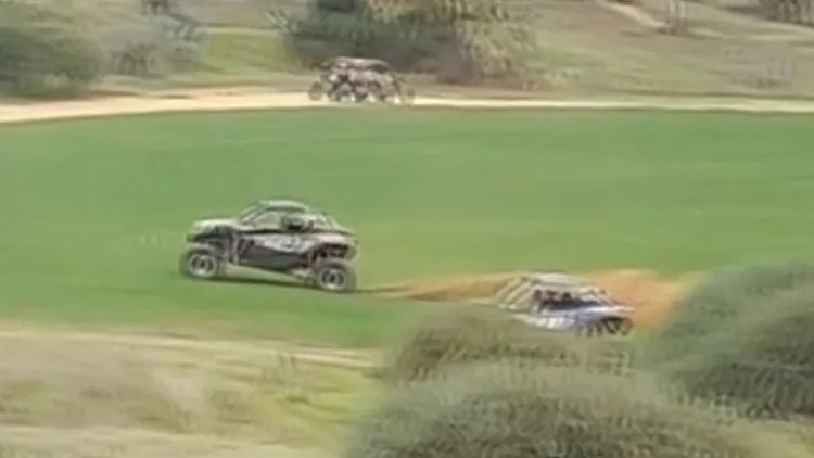 "דורסים את הפרנסה": השחיתו את השדות וגרמו לנזק כלכלי • תיעוד