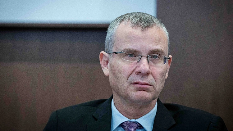 שר המשפטים יריב לוין