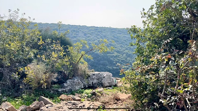 נחל יחיעם