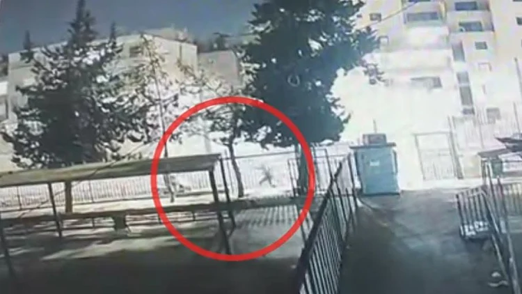 מתקרב - ויורה מטווח אפס: תיעוד חדש של הפיגוע בנווה יעקב