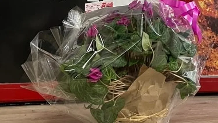 הבלשים התחזו לשליחי פרחים: חשד להונאת ענק של משקיעים בחו"ל