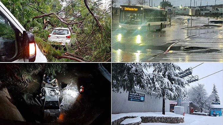 עצים קרסו בכפר סבא ובגבעתיים, בור נפער בת"א: נזקי הסערה