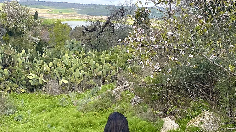 התחזית לשבת: עליה נוספת בטמפ' - וגשם מקומי קל בחלק מהאזורים