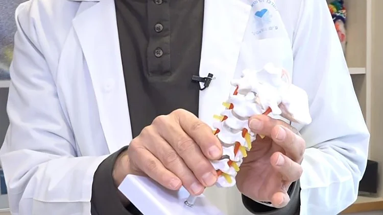 כירופרקטיקה