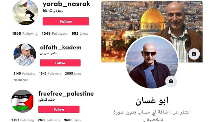 הפרופילים באמצעותם פעל אבו ע'סאן