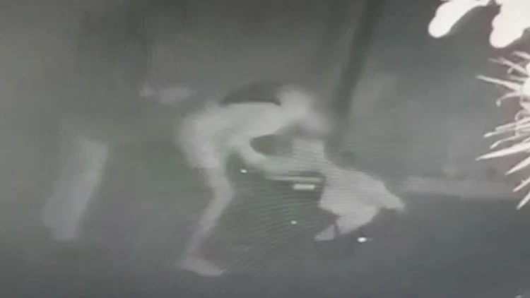 בגלל נביחות כלב: תושב לוד נאשם שתקף את שכנו הנכה | תיעוד