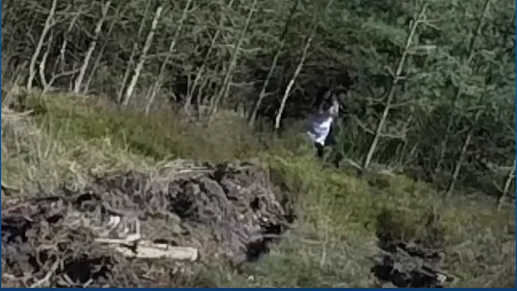 אין יותר מציאותי מזה: רוח רפאים של "ילדה שחורת עיניים" תועדה ביער הידוע כרדוף | רשת 13