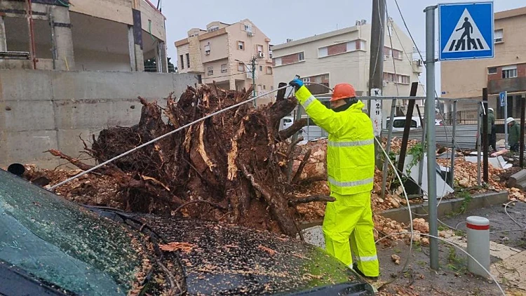 פיגומים קרסו באשדוד, נפגעים מקריסת עצים ומהרוח: ברברה כאן